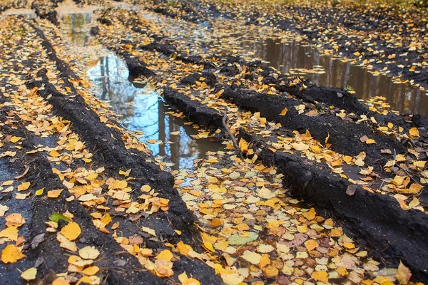 Herbstliche Waldstraße mit Schlamm und abgefallenen gelben Blättern, die nicht befahren und passiert werden kann — Stockfoto
