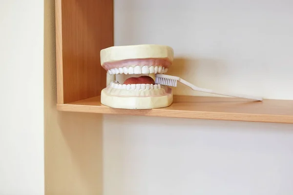 Disposición de los dientes para el dentista con un cepillo de dientes. naturaleza muerta en th — Foto de Stock