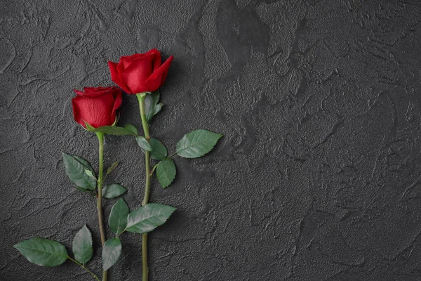 暗い黒いテクスチャの背景に2つの赤いバラ。テキスト用のスペース. — ストック写真