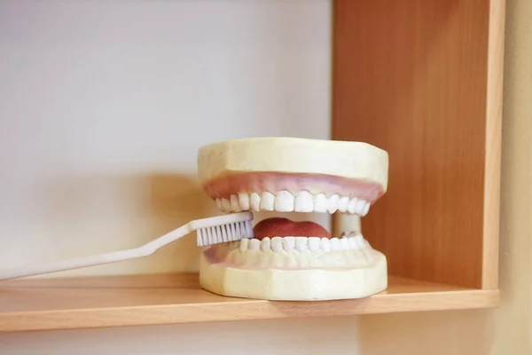 Disposición de los dientes para el dentista con un cepillo de dientes. naturaleza muerta en th —  Fotos de Stock