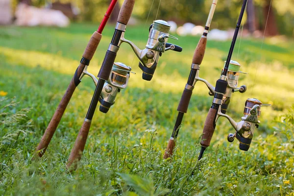 Diverse hengels en rollen op de achtergrond van groen gras. — Stockfoto