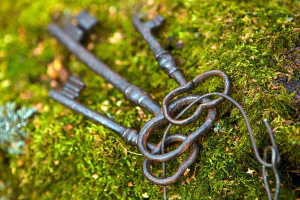กุญแจเหล็กเก่านอนอยู่บนมอสป่า ใกล้ๆ — ภาพถ่ายสต็อก