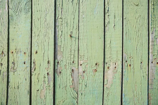 Zielony Kolor Malowany Puste Płyta Panel Drewniany Ściana Tekstury Stary — Zdjęcie stockowe