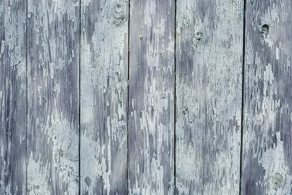 Szary Kolor Malowany Puste Płyta Panel Drewniany Ściana Tekstury Stary — Zdjęcie stockowe
