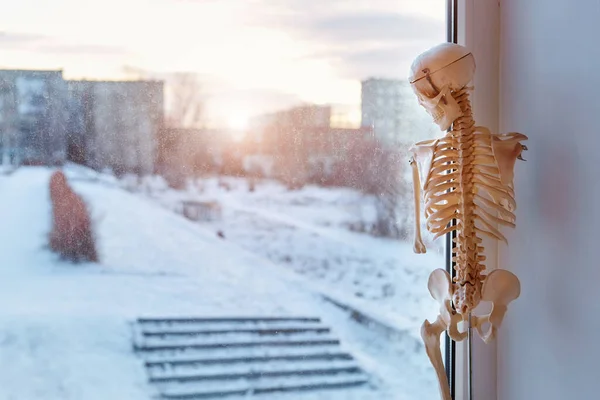 A close up shot of a human body a skeleton a figure standing in the corner of a white window frame looking sadly out on the street at the living life. It is broken and no one needs it. The concept of depression, loneliness