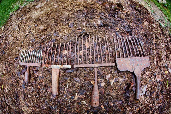 A set of ancient poaching tools for fishing - hooks and forks.