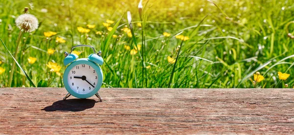 Concept of summer time. Web banner of an alarm clock on a background of dandelion flowers in a Sunny lawn.