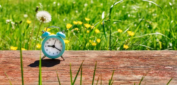 昼間の時間を節約 朝の背景にヴィンテージ目覚まし時計サニー芝生 — ストック写真