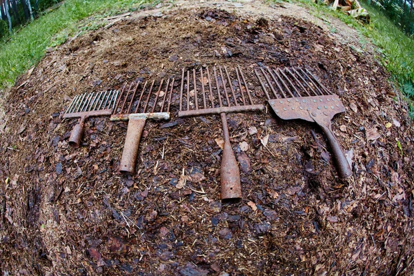 A set of ancient poaching tools for fishing - hooks and forks.