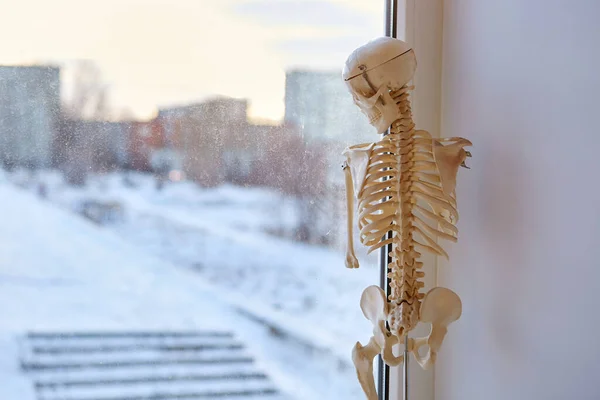 A close up shot of a human body a skeleton a figure standing in the corner of a white window frame looking sadly out on the street at the living life. It is broken and no one needs it. The concept of depression, loneliness.