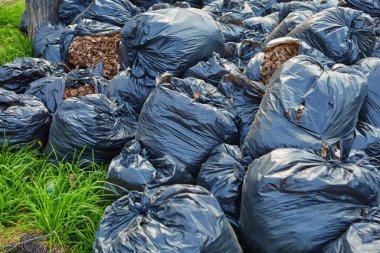 Düşen sonbahar yaprakları geri dönüşümlü plastik torbalarda toplanır. Parkta siyah plastik çöp torbaları, sonbahar temizliği...