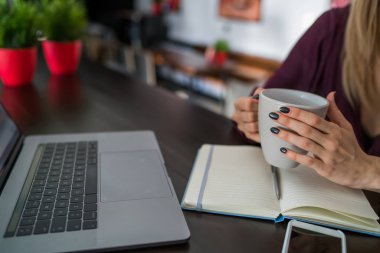 Seçici odak bir kupa ile bir dizüstü bilgisayar klavye önünde sıcak çay iç masada otururken tutan eller üzerinde. Rahat bir atmosfer, kadının içecek netbook ile eğitimine devam ederken