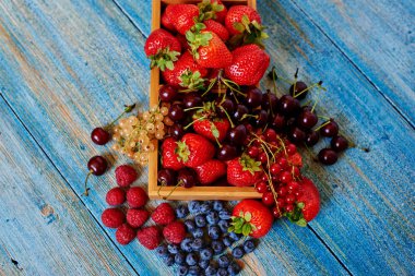 Olgun taze uzuvlar, en iyi dnserty yapan mutfak İtalyan Şef parlak görüntü çilek, o ahşap bir tencere içinde görev yaptı