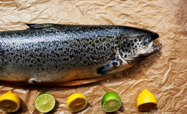 Vitrin trendy balık restoranıdır içinden herhangi bir yemek pişirmek mümkün olacak taze somon karkas