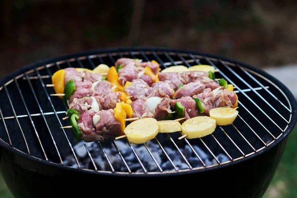 おいしい焼きポーク肉と野菜のケバブ — ストック写真