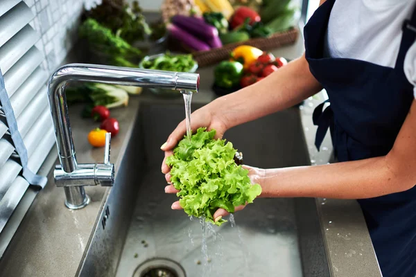 Woman\'s hands washing lettuce in kitchen sink.