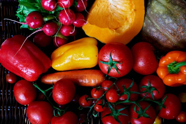 收集从最好的明亮和多汁蔬菜农场地中海 厨师准备 Ratatui 只最好的炖蔬菜红西红柿 黄椒香 小萝卜和胡萝卜 — 图库照片