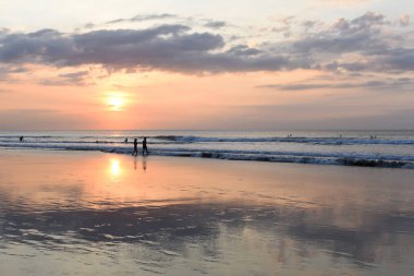 Yaz tatil ve insanlar kavramı. Güzel doğa arka plan. Siluet grup altın günbatımı zamanı plaj insan. Arkadaşlarınız ve ailenizle sahilde. Okyanus akşam zaman günbatımı zamanı