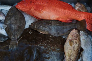 Parlak kırmızı balık küçük siyah noktalar ile kaplı. Balık ve deniz ürünleri pazarı. Balık türleri daha taze kalmak buzla kaplı. Taze gıda kavramı iyi yaşam için. Sağlıklı deniz ürünleri.