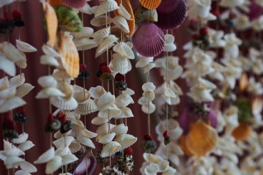 Dekoratif boncuk perde kabukları yapılmış. Dekorasyon için dizeleri asılı deniz kabuklarını. Sahil Hatıra Hediyelik eşya dükkanının önünde asılı güzel deniz kabuğu. Seçici odak.