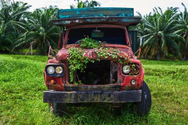Terk bitkiler ile büyümüş ve kırık kamyon ön cam.