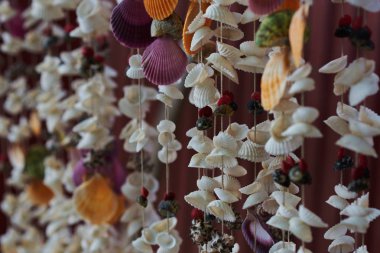 Dekoratif boncuk perde kabukları yapılmış. Dekorasyon Hatıra sahil üzerinden için dizeleri asılı deniz kabuklarını güzel seashell Hediyelik eşya dükkanının önünde asılı.