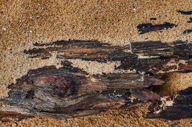 Tropikal parke ve dokulu arka plan. Arka plan. Yıpranmış ahşap tahta kapatın ve arka plan açık havada kum. Doğal doku. Eski ahşap ve kum doku. Tedavi edilmemiş çetrefilli ahşap.