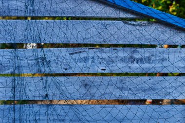 Eski balık mavi duvara ağı. Arka plan ve metin veya görüntü için doku.