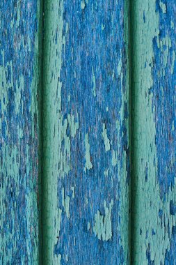 Yeşil ve mavi boya ile ahşap duvar ciddi bir şekilde yıpranmış ve soyma. Kırık boya ahşap duvar. Ahşap rustik eski püskü boş arka kaburgalar. Boya yıpranmış yüzey soyulmuş. Grunge cephe duvar kağıdı.