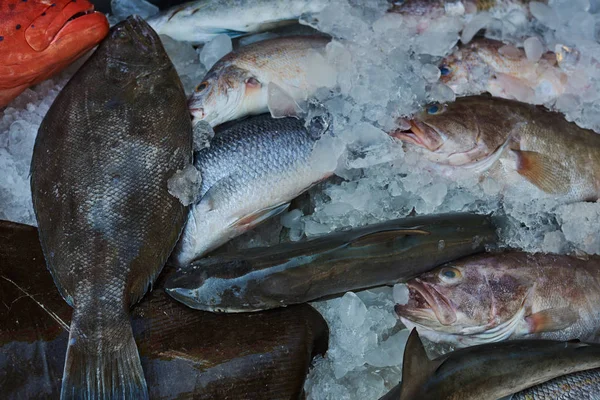 Verse Vis Voor Verkopen Markt Verschillende Vissen Het Ijs Koop — Stockfoto