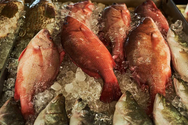 Peixe Fresco Mercado Local Balcão Para Venda Mercado Molhado Tradicional — Fotografia de Stock