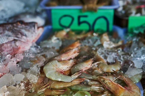蓝腿虾 虎虾在冰中的鱼市场在亚洲 虾的种类繁多 是一种很好的蛋白质来源 健康饮食理念 — 图库照片