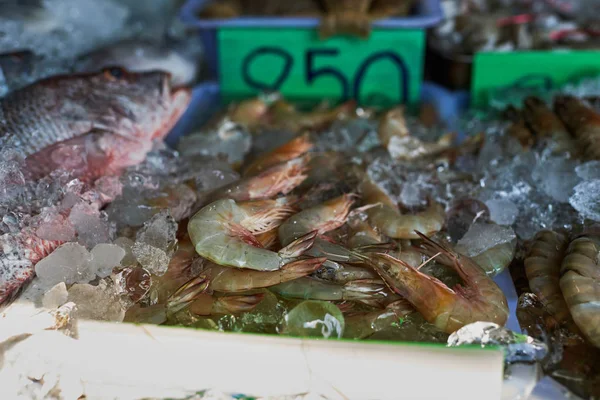 Zeevruchten Ijs Vismarkt Verse Garnalen Markt Voor Verkopen — Stockfoto