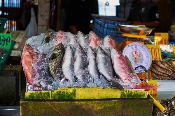 Detailní Záběr Řad Čerstvé Ryby Mokré Trhu Desku Stolu Připravené — Stock fotografie