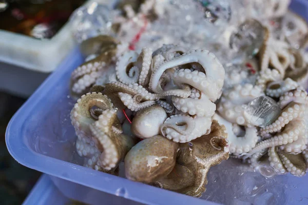 Close Van Verse Inktvis Octopus Een Natte Markt Tafelblad Klaar — Stockfoto