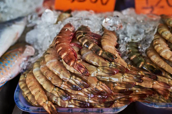 Prawns lying on top of ice that keeps them frozen and edible, fresh seafood.