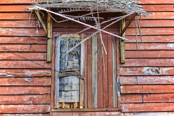Régi Repedt Egy Kopott Mennyezet Pálmaágakat Retro Fából Készült Fal — Stock Fotó