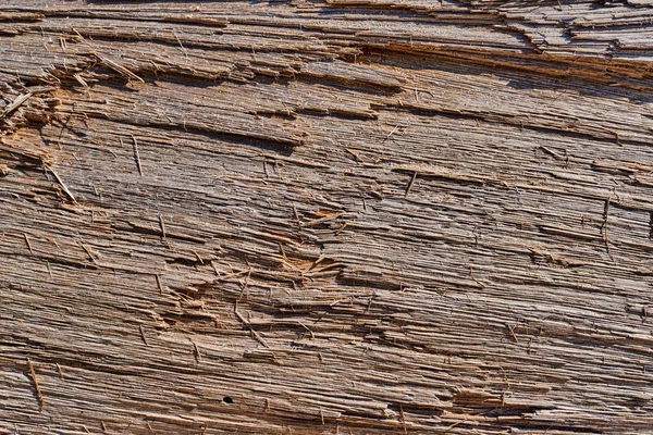 Untreated wood structure as background. Wood texture with natural pattern. Natural wood texture background.