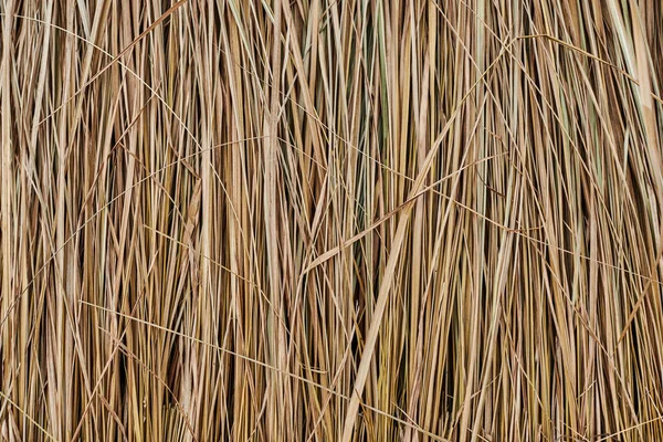 Fundo Telhado Palha Feno Grama Seca Feno Grama Fundo Textura — Fotografia de Stock