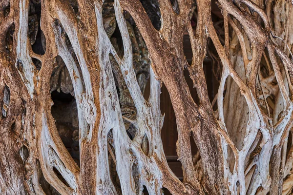 Droge Wortels Boom Grunge Natuurlijke Biologische Achtergrond Textuur Drijfhout Voor — Stockfoto