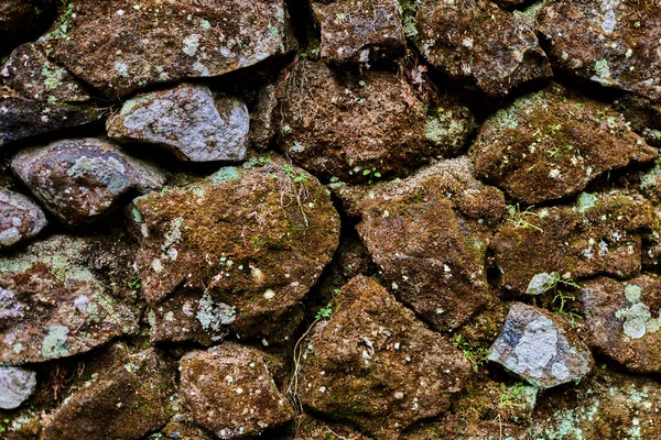 Камінь Лишайником Текстурою Моху Фоном — стокове фото