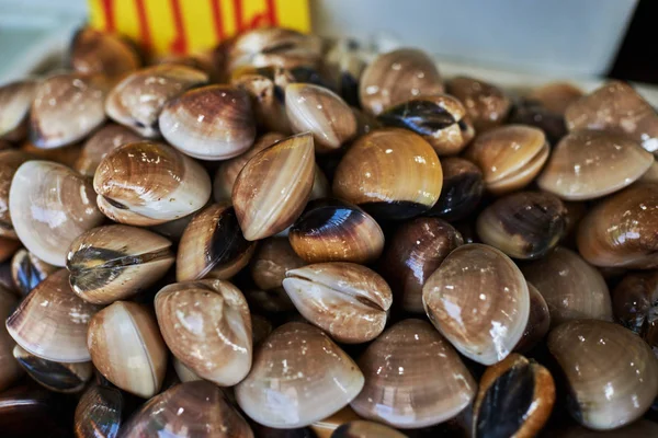 Seafood Ice Fish Market Fresh Raw Cockles Wet Market Table Stock Image