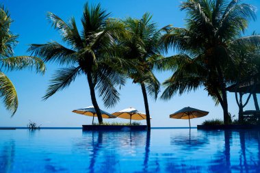 Palmiye ağaçları Okyanusu yakınlarındaki lüks Yüzme Havuzu. Şemsiye ve yakın otel ve tatil Hindistan cevizi palmiye ağacı üzerinde mavi gökyüzü ile açık yüzme havuzunda sandalyede. Tatil tropikal. Tatil kavramı. Yumuşak odak.