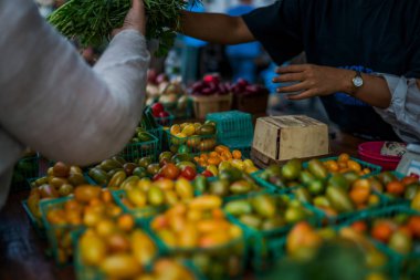 Sepet dolu taze renkli olgun domates aldım. Taze, organik, El Satılık olgun domates bir yol kenarı çiftlik market seçilmiş. Yaz tepsi Pazar tarım çiftlik Organik sebze dolu.