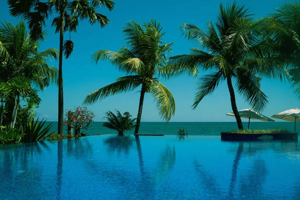 绿松石彩色游泳池中椰子树的倒影 美丽的 Wiev 在热带海滩度假胜地 棕榈树和豪华酒店游泳池在假期的时候 旅行概念 — 图库照片