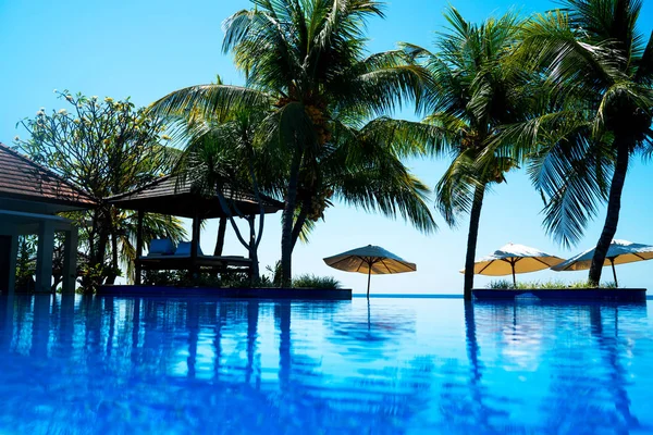 Luxury Swimming Pool Palm Trees Ocean Umbrella Chair Outdoor Pool — Stock Photo, Image