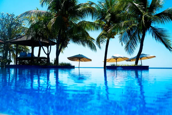 豪华游泳池与棕榈树在海洋附近 雨伞和椅子周围的室外游泳池在酒店和度假村与椰子棕榈树在蓝天上 在热带度假 度假理念 — 图库照片