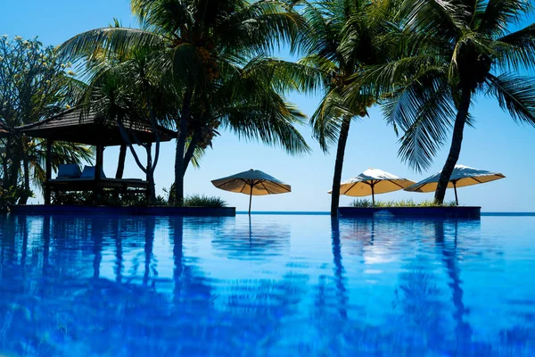 豪华游泳池与棕榈树在海洋附近 雨伞和椅子附近的室外游泳池在酒店和度假村与椰子棕榈树在蓝天上 在热带度假 假日概念 软焦点 — 图库照片