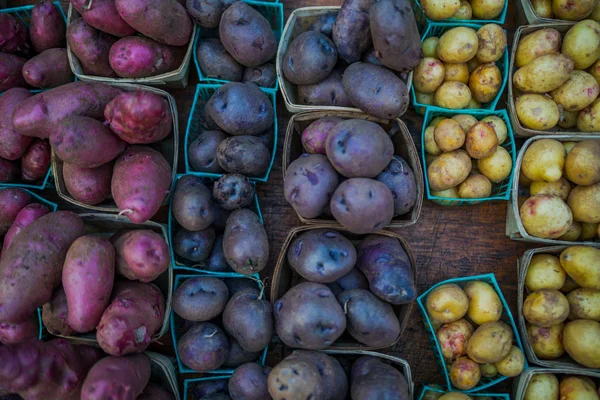 Organic potatoes. Farm fresh vegetable. Beautifully displayed in attractive baskets. Eco potatoes on sale at outdoor farmers market. Raw potato food. Different varieties of potatoes in a shelf.