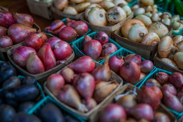 유기농 야채입니다 매력적인 바구니에 됩니다 시장에서 선반에 양파의 품종입니다 음식입니다 — 스톡 사진